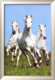Drei Läufer|Three Running Poster von Bob Langrish