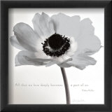 Poppy Love Arte por Deborah Schenck