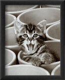Minou Posters par Jean-Michel Labat