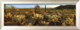 Sonora Art par Alain Thomas