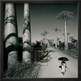 Allee des Baobabs II Posters par Chris Simpson