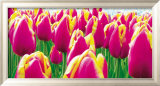 Tulipes Posters par Jan Lens
