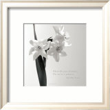 Daffodil Secrets Posters by Deborah Schenck
