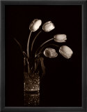 Tulipes dramatiques Affiches par Dick & Diane Stefanich