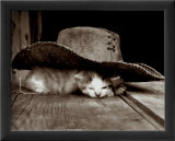 Sieste Affiches par Philippe Pache