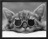 Kool Kat I Art par David Mcenery