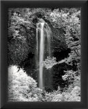 Nature's Jewel I Poster von Mike Jones