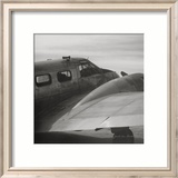Vintage Flight II Prints by Janet Van Arsdale