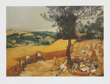Summer, The Harvesters Collectable Print by Pieter Bruegel the Elder
