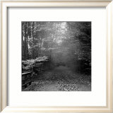 Autumn Walk Posters by Mary Ruppert