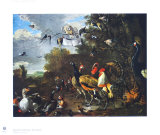 Bird Concert Collectable Print by Melchior De Hondecoeter