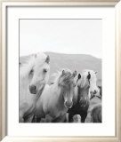 Icelandic Morning Prints by Rob Howard