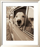Are We There Yet Prints by Jim Dratfield