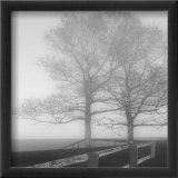 Seaside Tree Print by Mary Ruppert