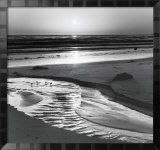 Birds on a Beach Láminas por Ansel Adams