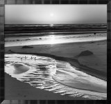 Birds on a Beach Arte por Ansel Adams