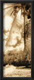 Brise équatoriale II Affiches par Thea Schrack