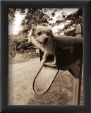 You've Got Mail Prints by Jim Dratfield