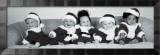 Santa Claus Babies Affiches
