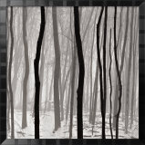 Rayos de luz Arte por Doug Burgess