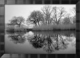 Prospect Park Morning Posters av Henri Silberman Prospect Park Morning Posters av Henri Silberman