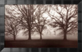 Etude d'arbre dans le brouillard IV Affiches par Jamie Cook