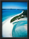 Tropicale Plakat av Bilderteam