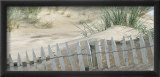 Couleur Sable Posters par Philip Plisson