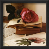 Rose sur Livres I Affiches par Celine Sachs-jeantet