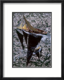Cambria, Cowes Prints by Gilles Martin-Raget