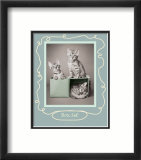 Box Set Poster par Rachael Hale