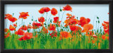 Champs de coquelicots Affiches par Jan Lens