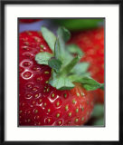 Strawberry Posters by Sara Deluca