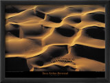 Dromadaires 1 Affiches par Yann Arthus-Bertrand