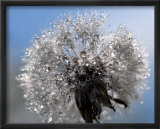 Crystal Clear Bouquet Art par Mikio Watanabe