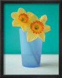 Jonquilles Affiches par Masao Ota