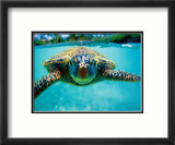 Honu, Turtle Affiche par Kirk Lee Aeder