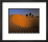 Algerie Poster par Philippe Bourseiller