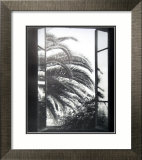 Le palmier Affiches par Henri Matisse