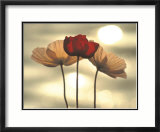 Icelandic Poppies Prints by Yoshizo Kawasaki