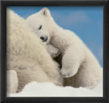 Sweet Dreams Plakater av Wayne Bilenduke