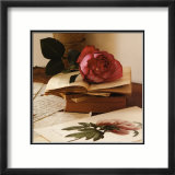 Rose sur Livres I Art par Celine Sachs-jeantet
