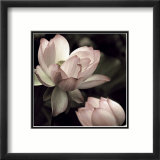 The Lotus II Print by Andy Neuwirth