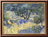 L'oliveraie Estampe encadrée par Vincent van Gogh