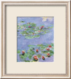 Water Lilies, c. 1914-1917 Posters par Claude Monet