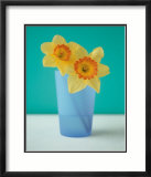 Jonquilles Affiches par Masao Ota