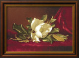 The Magnolia Flower Prints by Martin Johnson Heade