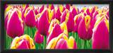 Tulipes Affiches par Jan Lens