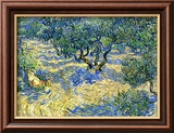 Olive Orchard, c.1889 Lámina giclée enmarcada por Vincent van Gogh