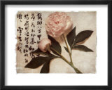 Oriental Peony Print by Julie Nightingale